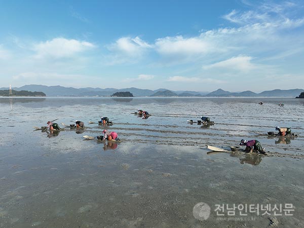  기사 이미지