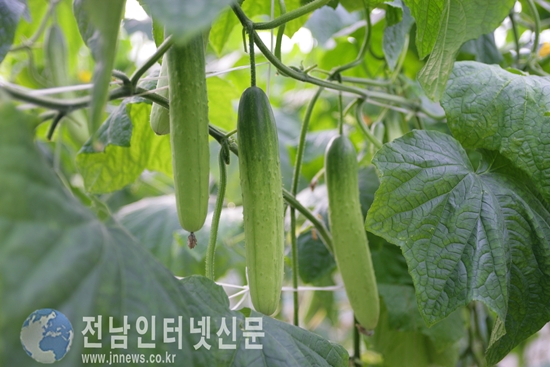  기사 이미지
