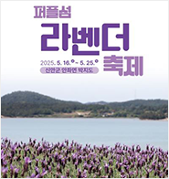 신안퍼플섬